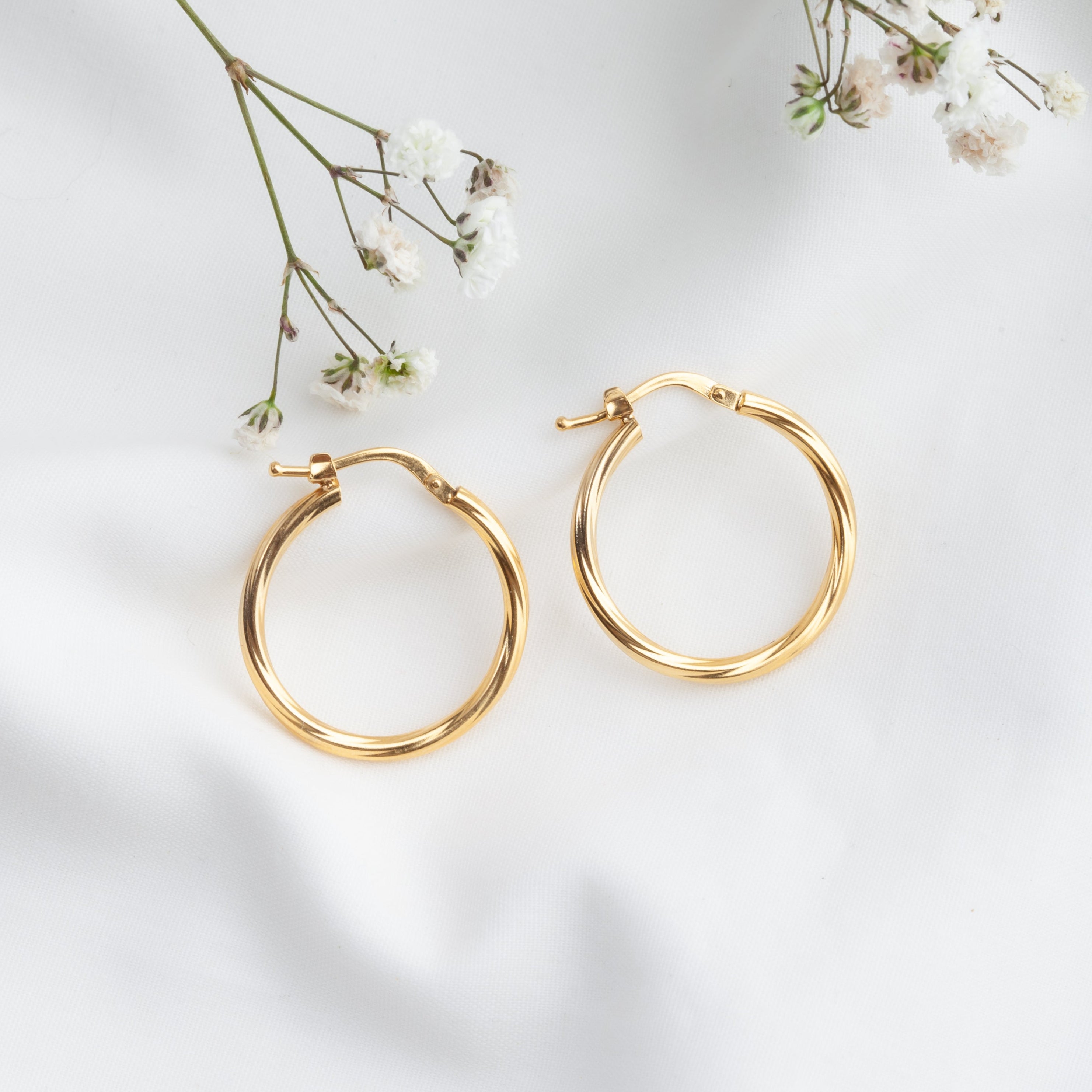 Argollas Zia