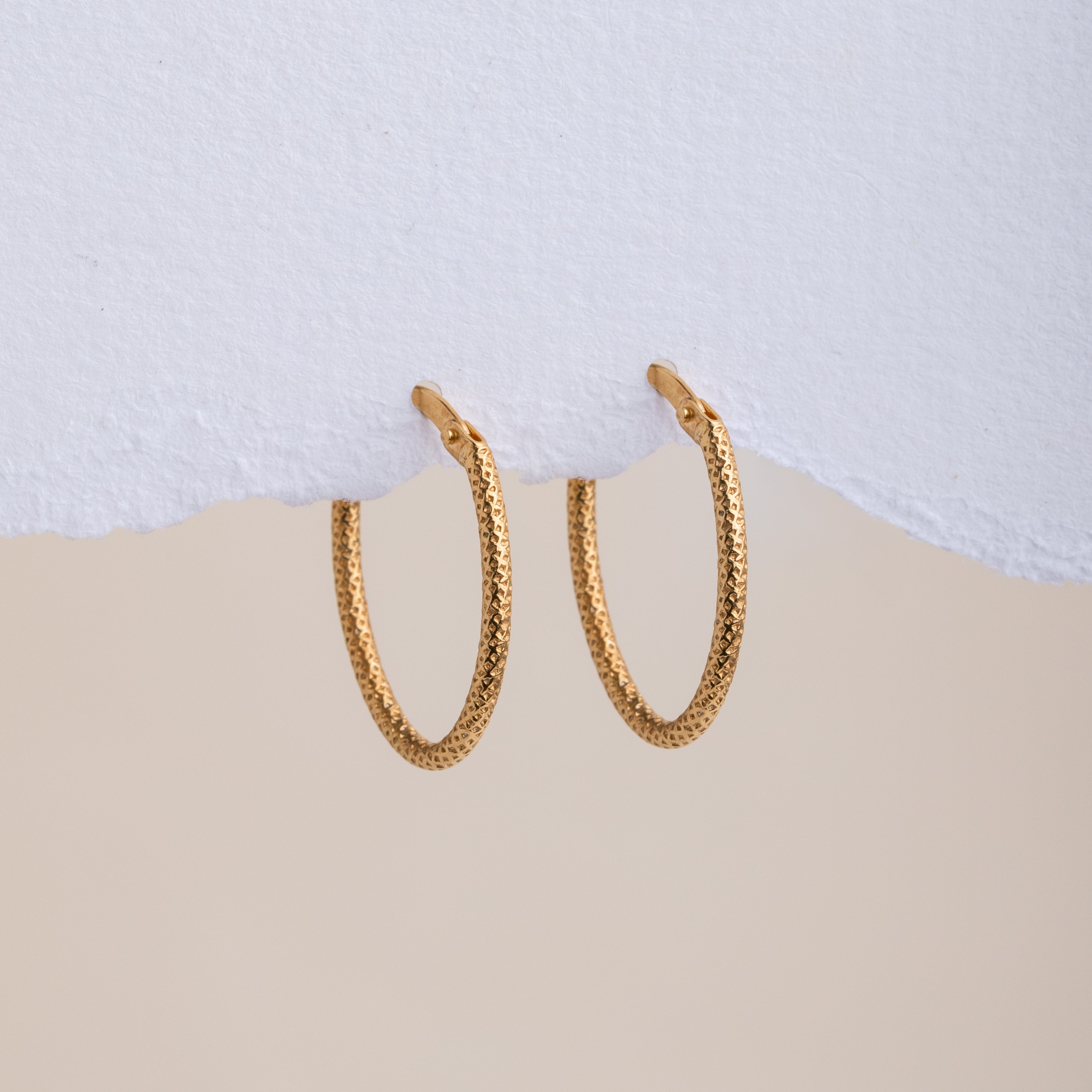 Argollas Dania