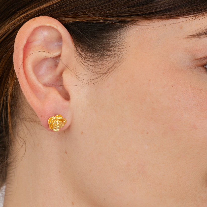Aretes Rosas