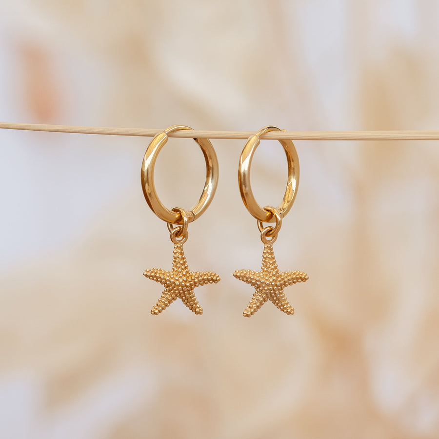 Argollas Estrella de Mar gold