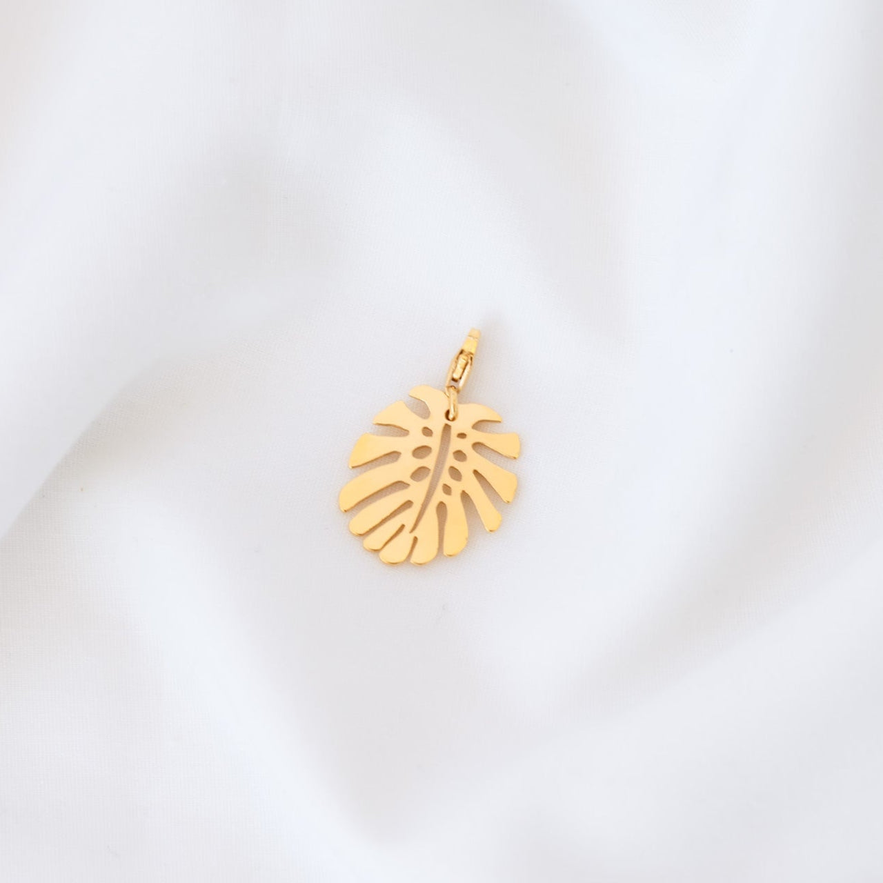 Dije Monstera