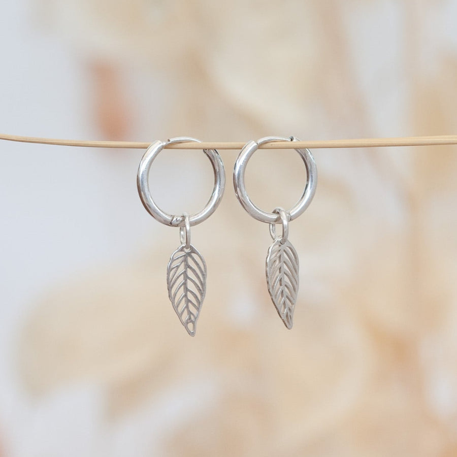 Argollas Hojas silver