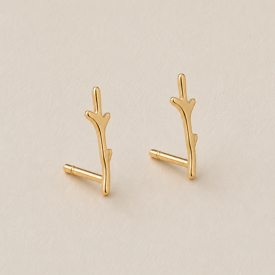 Aretes Rama-thumbmail-1