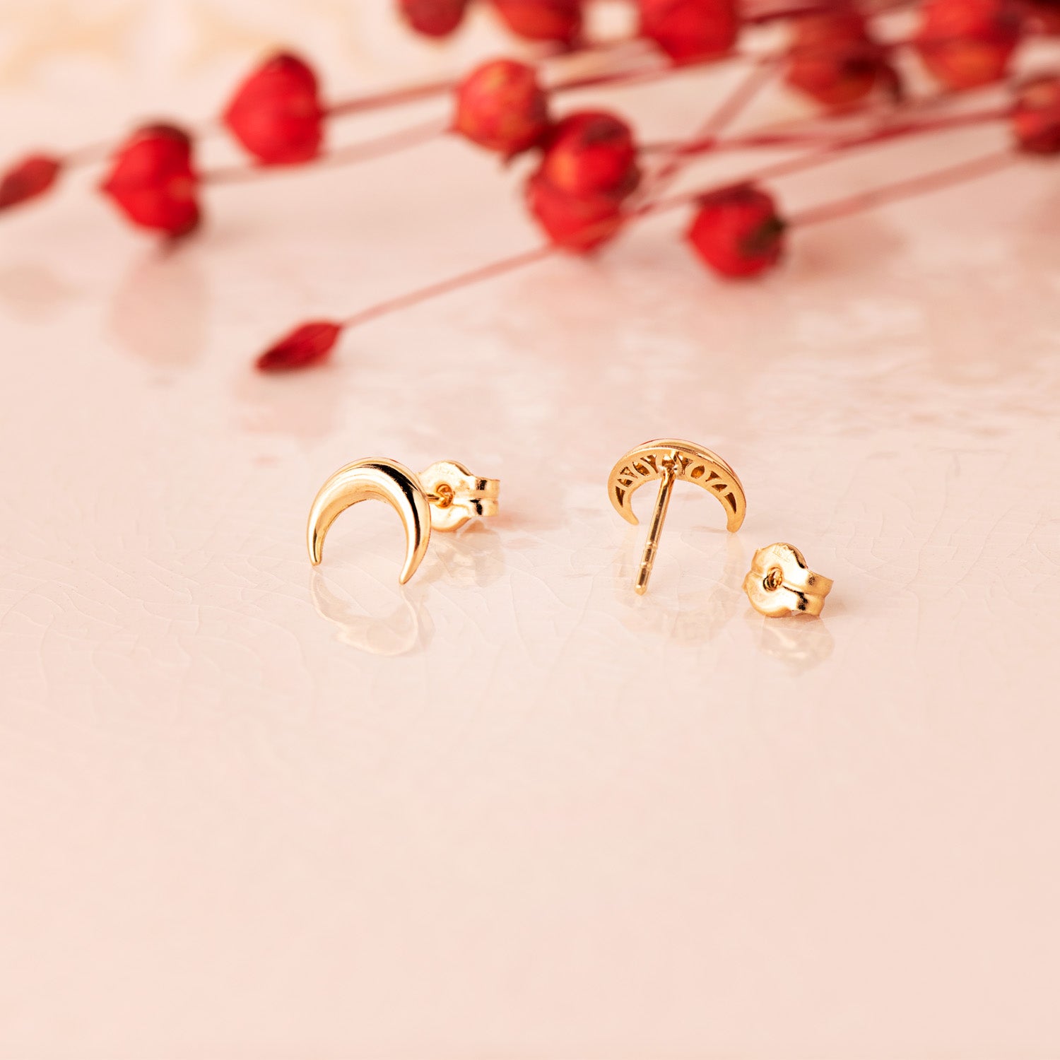 Aretes Media Luna