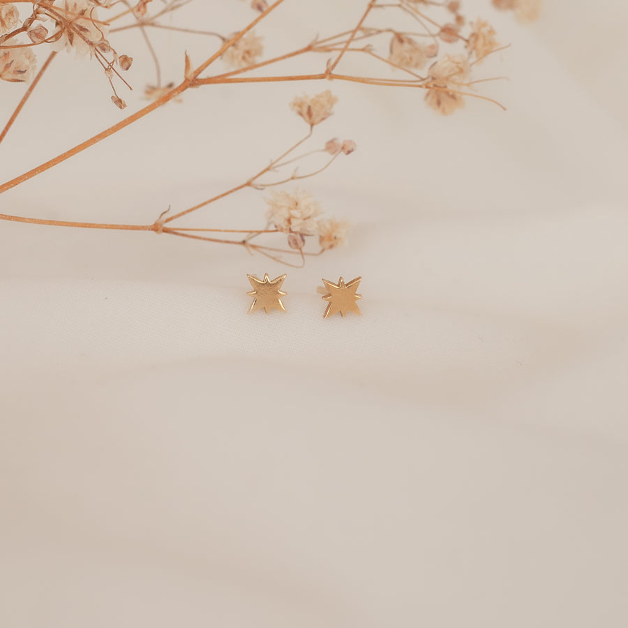 Aretes Mini Estrella Polar