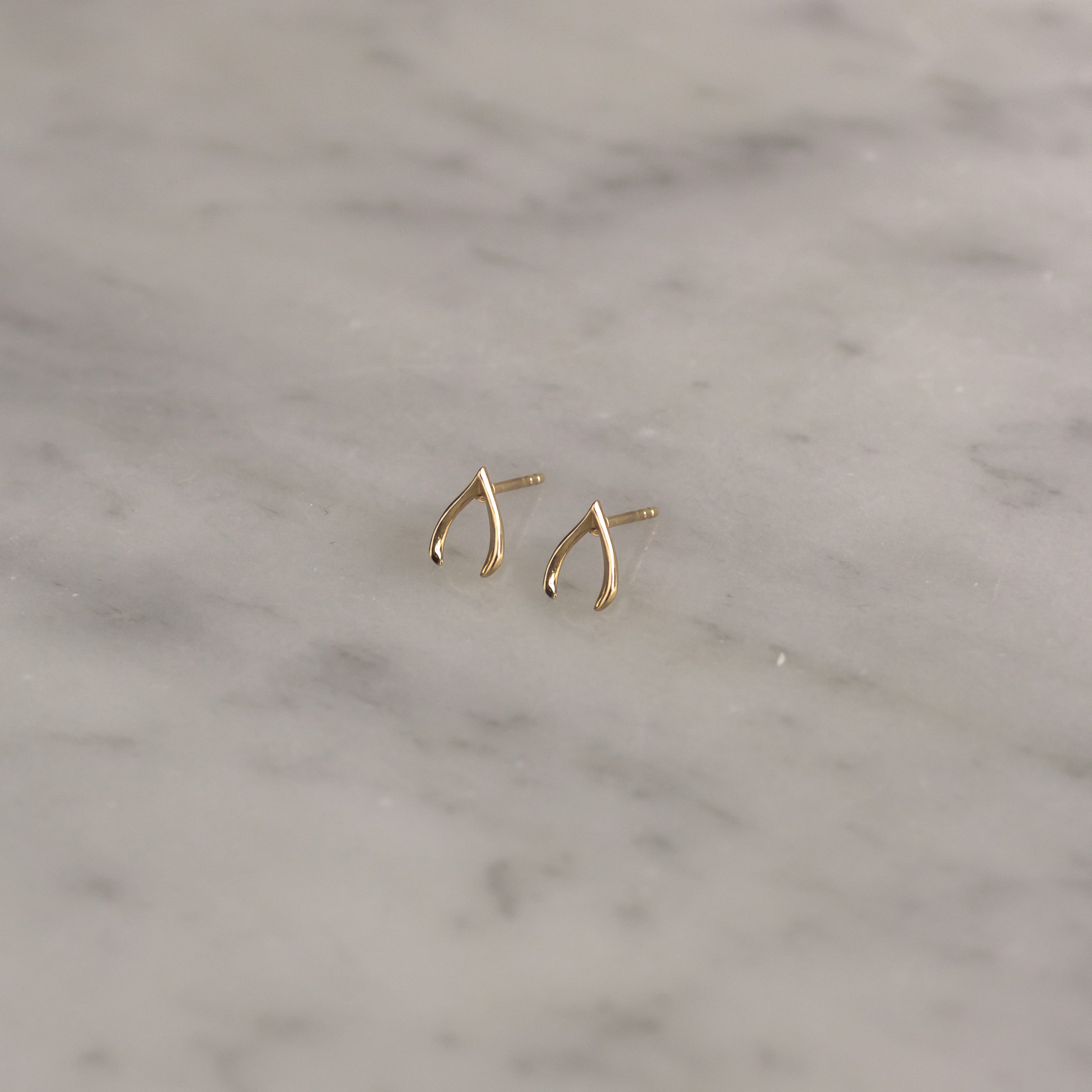 Aretes Wish Bone