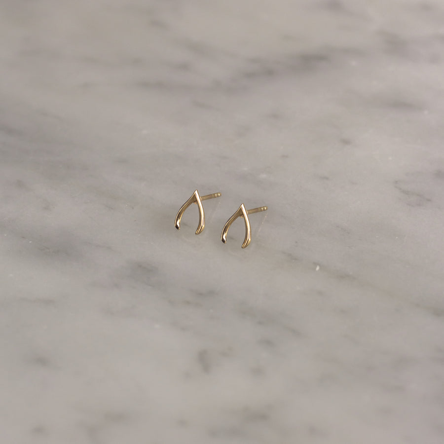 Aretes Wish Bone