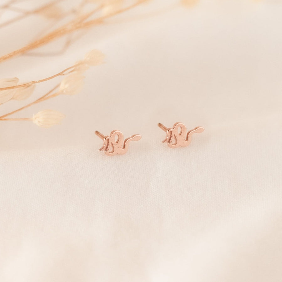 Aretes Mini Serpiente