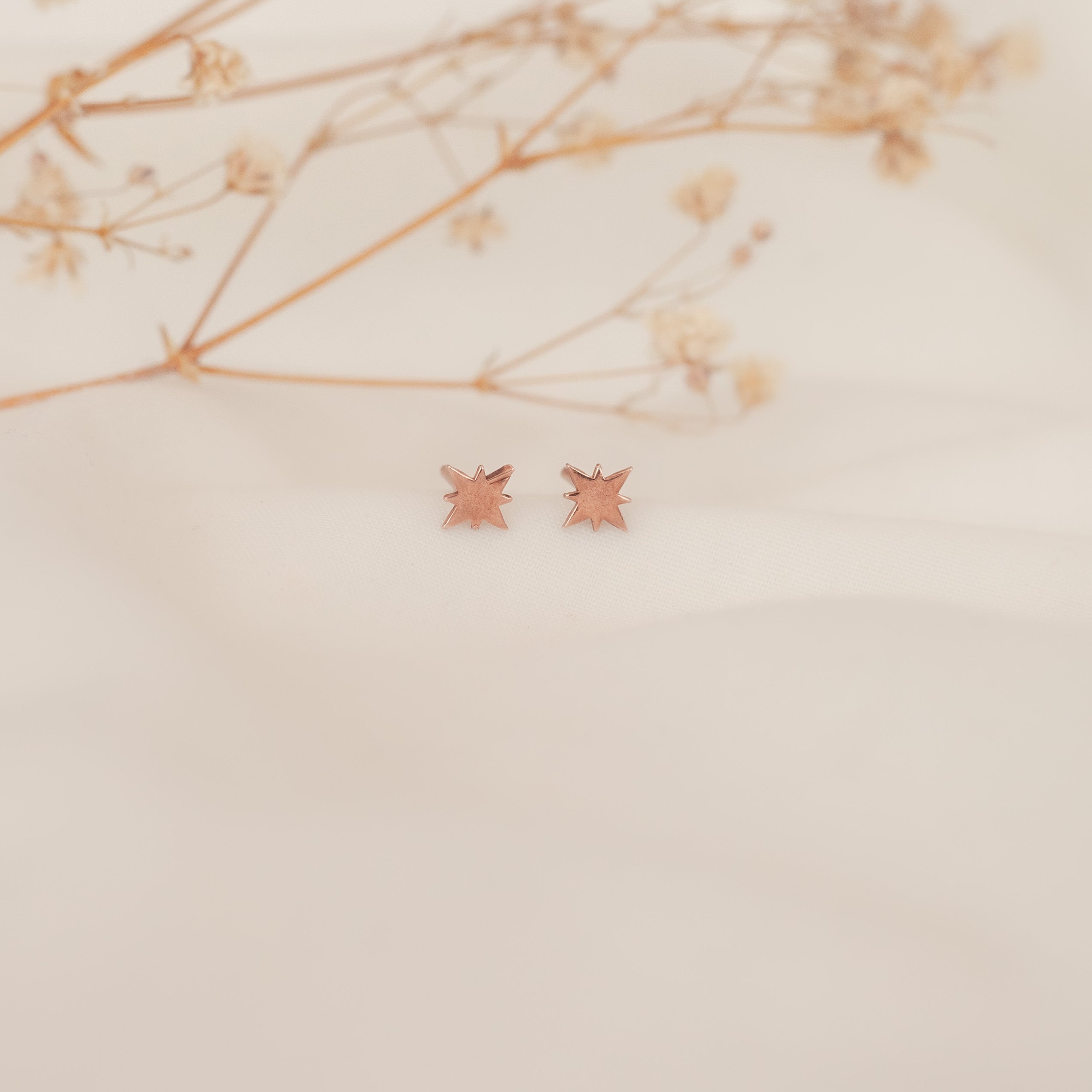 Aretes Mini Estrella Polar