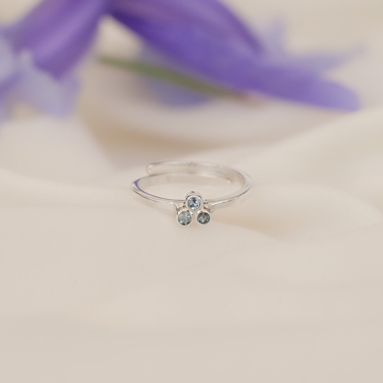 Anillo Bernice silver