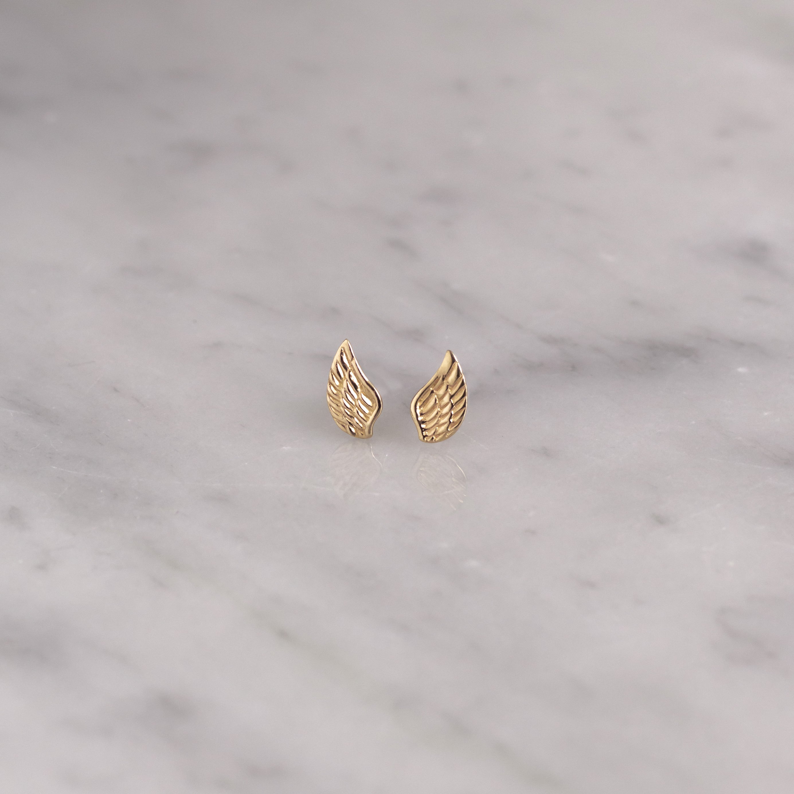 Aretes Alas