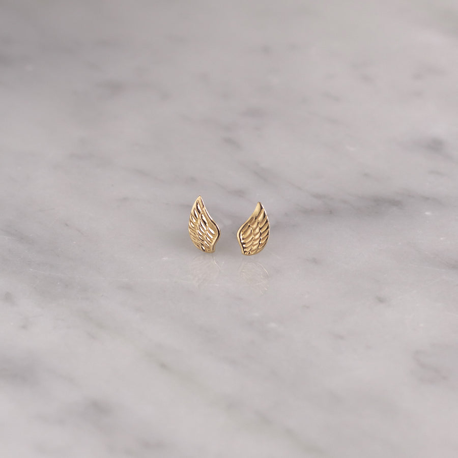 Aretes Alas