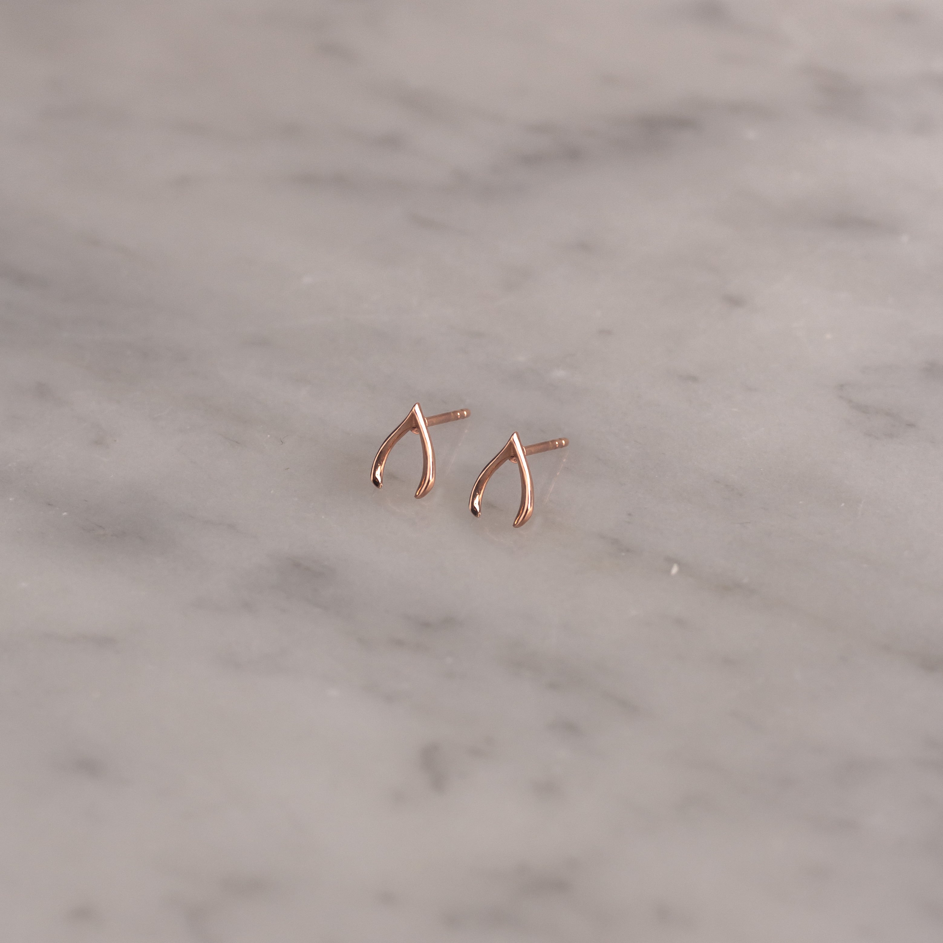 Aretes Wish Bone