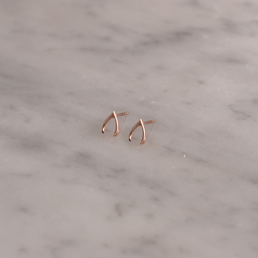 Aretes Wish Bone