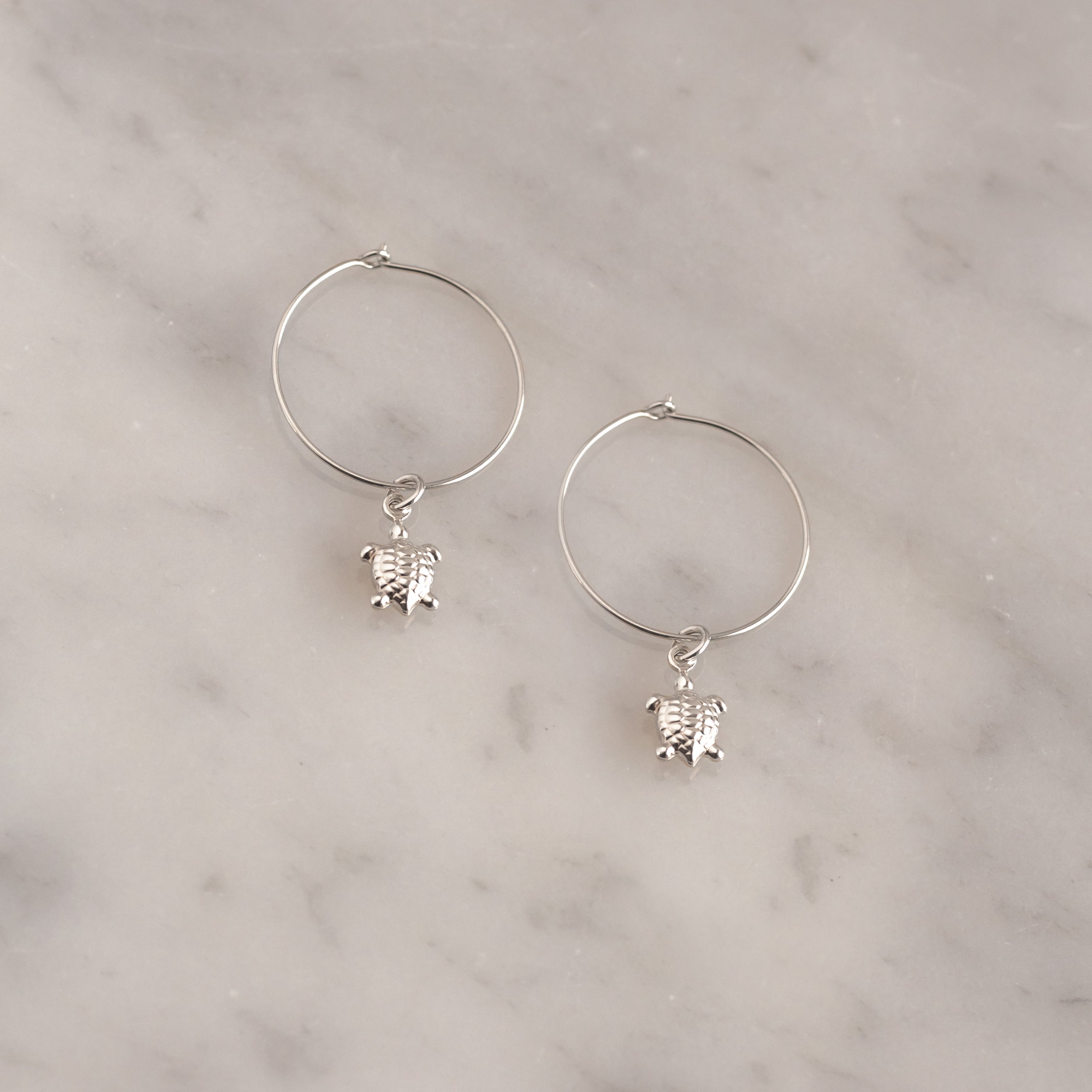 Argollas Tortuga silver