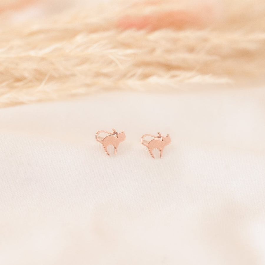 Aretes Gato