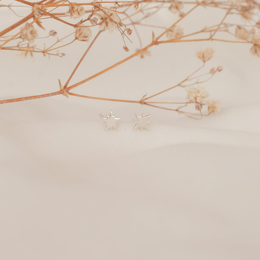 Aretes Mini Estrella Polar