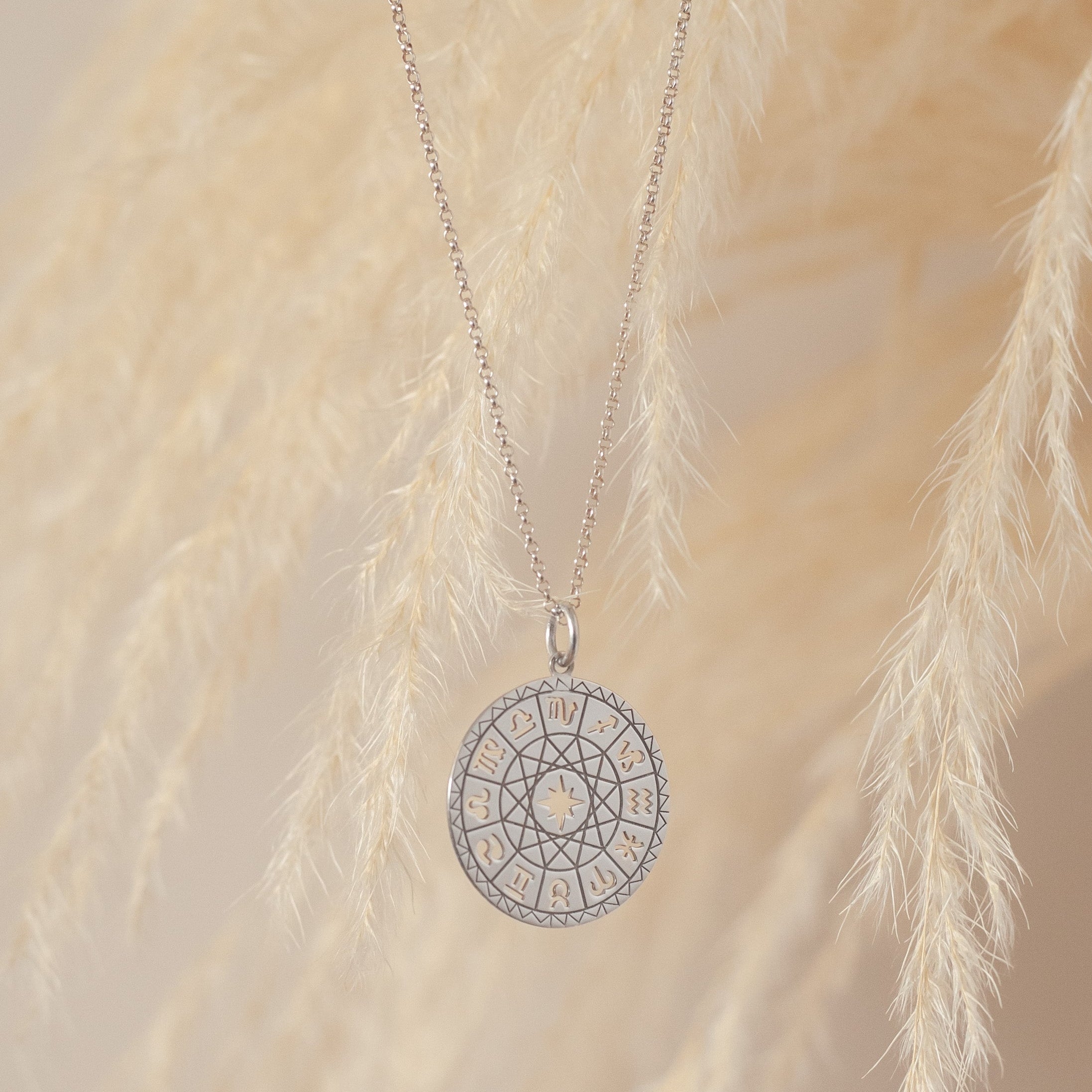 Collar Zodiaco silver