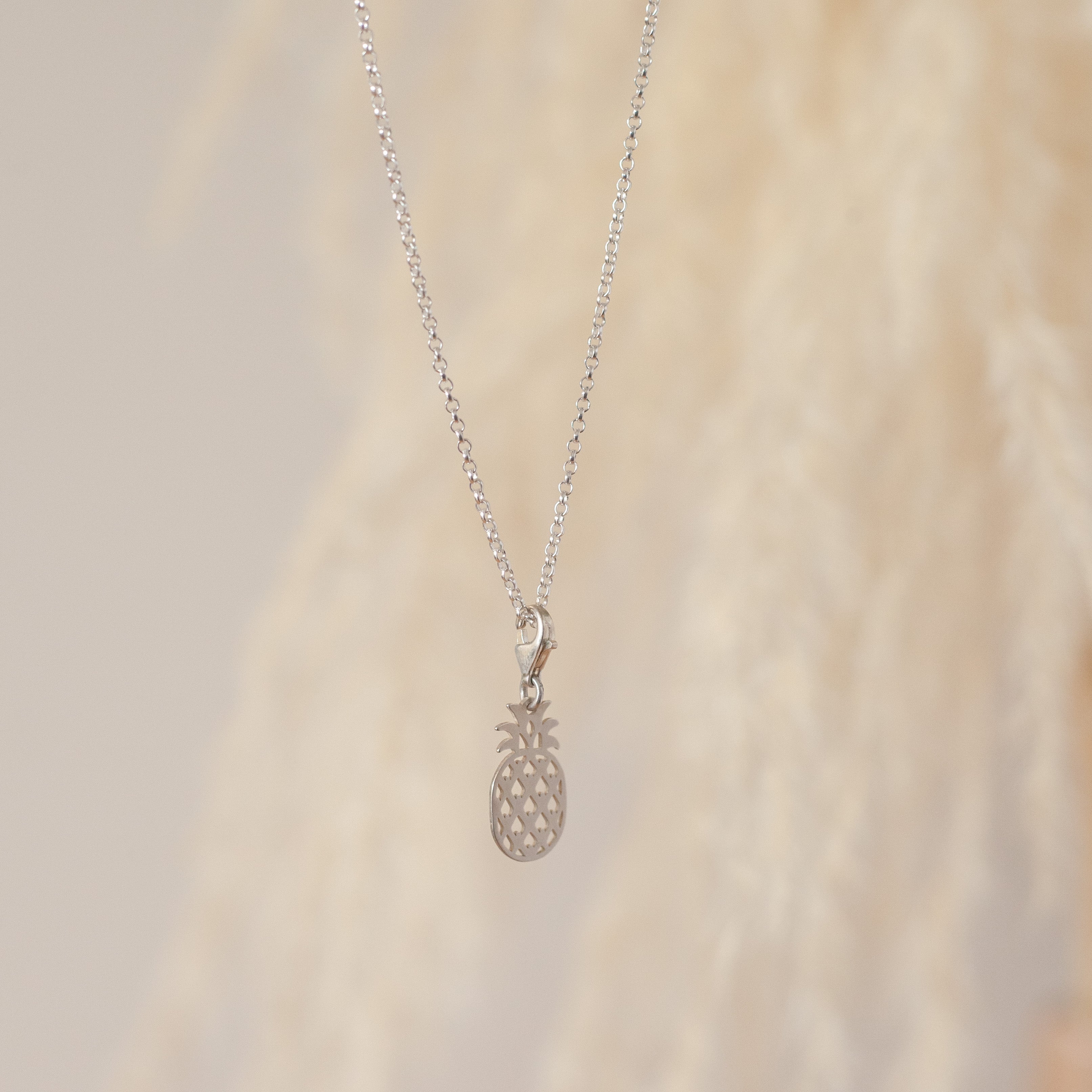 Dije Piña silver